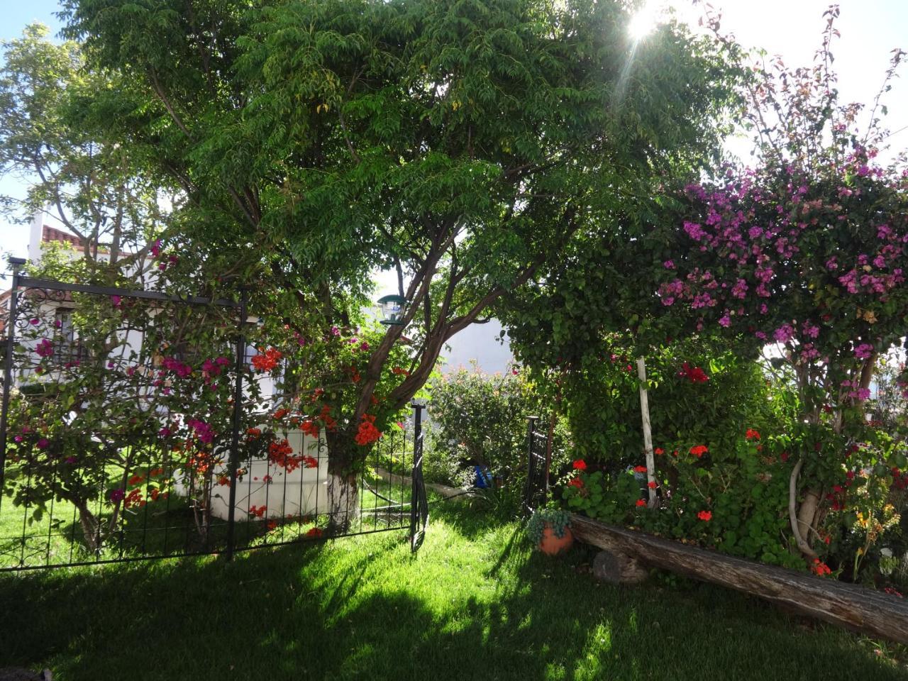 El Jardin De Su Merced B&B Sucre Eksteriør billede